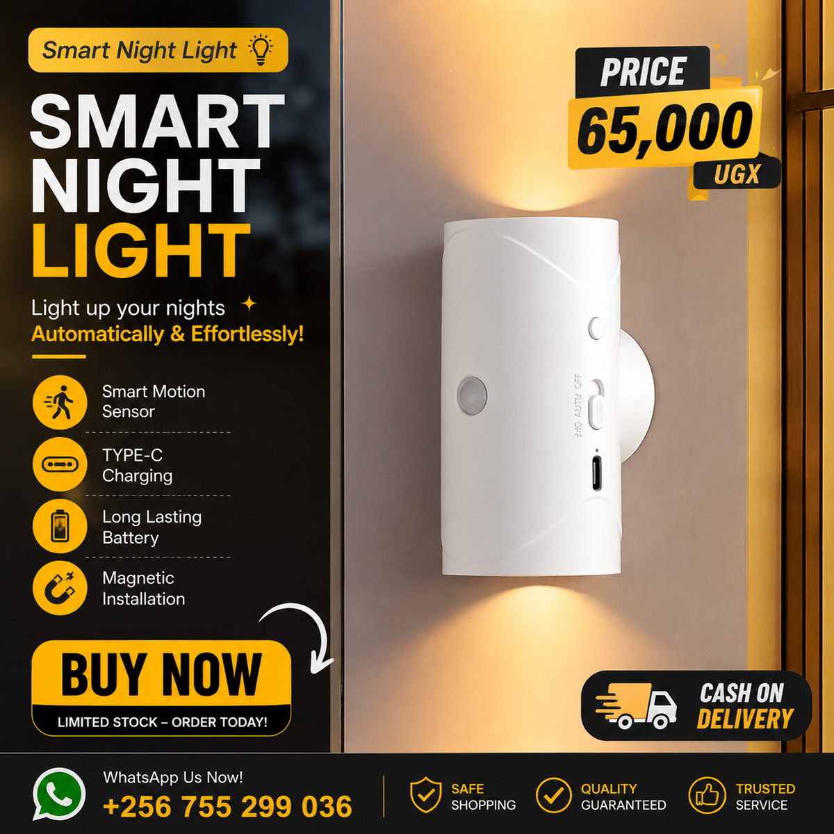 Motion Sensor Light